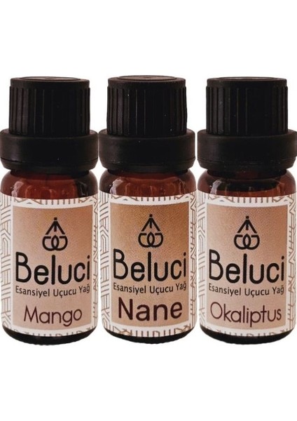 Mango + Nane + Okaliptus Uçucu Buhurdanlık Yağı Oda Kokusu Aromaterapi Set ( 3 Adet x 10 ml )