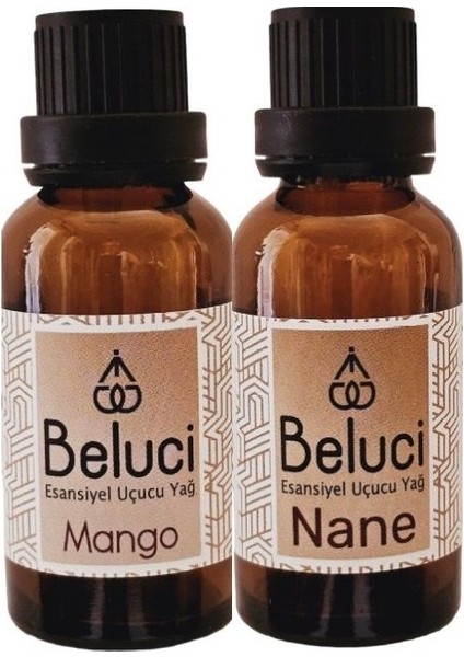 Mango + Nane Uçucu Buhurdanlık Yağı Oda Kokusu Aromaterapi Set ( 2 Adet x 30 ml )