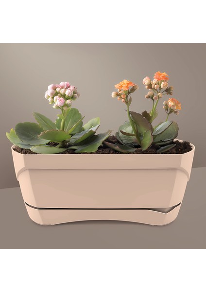 Modern Balkon Saksısı 5 Litre Bej Latte 35CM Tabaklı Delikli Plastik Saksı No1