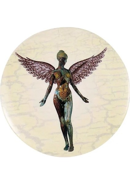 Stil-3 Avrupa ve Amerika Komik Sevimli Yuvarlak Geometri Akrilik Rozet Pin Karikatür Kedi Kurbağa Rozeti Erkek ve Kadın Giyim Aksesuarları Hediye (Yurt Dışından)