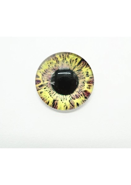 3000-906 10MM 8MM10MM12MM14MM16MM18MM20MM Yuvarlak Ejderha Kedi Gözü Cabochon Yapmak Bilezik Kolye Kadınlar Için Küpe Pimleri Broş Zanaat Kaynağı (Yurt Dışından)