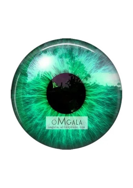 Mix2 Çift 18MM 8MM10MM12MM14MM16MM18MM20MM Yuvarlak Ejderha Kedi Gözü Cabochon Yapmak Bilezik Kolye Kadınlar Için Küpe Pimleri Broş Zanaat Kaynağı (Yurt Dışından)
