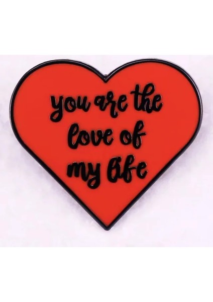 Stil 6 Yeni Rock Grubu Emaye Pimleri Müzik Şarkı Rozetleri Fan Koleksiyonu Madalya Denim Ceketler Sırt Çantası Pimleri Moda Broş Aksesuarları (Yurt Dışından)