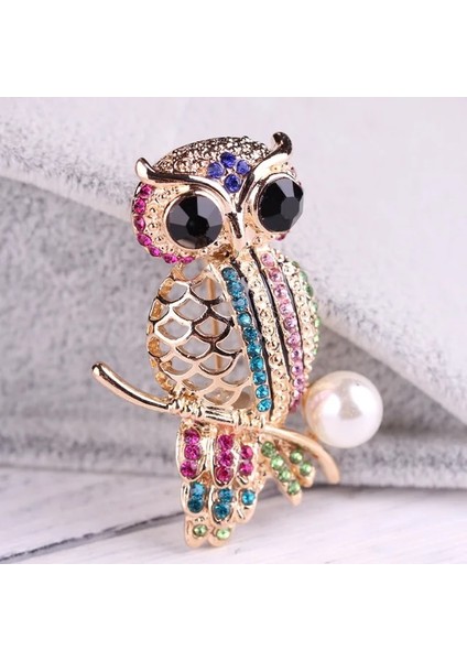 B Adolph Yeni Tasarım Kişilik Baykuş Aile Broş Pins Erkek Kadın Moda Takı Lüks Erkek Süsler Kaliteli Hediyeler (Yurt Dışından)