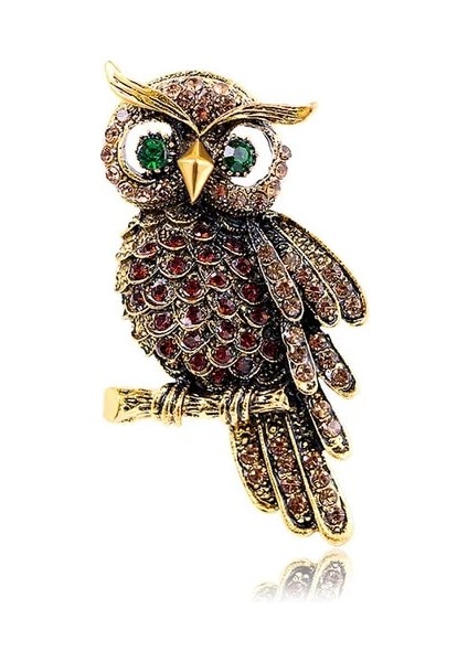 XZ0084-3 1 Adet Vintage Rhinestone Baykuş Broş Kore Trendy Güzel Kristal Kuşlar Broş Rozeti Eşarp Pin Kadın Erkek Takı Hediye Aksesuarları (Yurt Dışından)