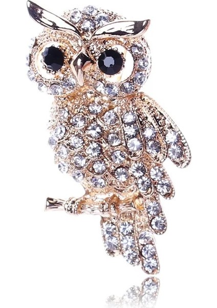 XZ0084-3 1 Adet Vintage Rhinestone Baykuş Broş Kore Trendy Güzel Kristal Kuşlar Broş Rozeti Eşarp Pin Kadın Erkek Takı Hediye Aksesuarları (Yurt Dışından)