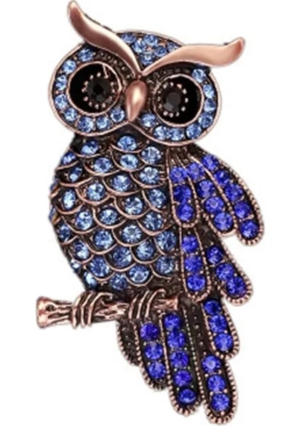 XZ0084-3 1 Adet Vintage Rhinestone Baykuş Broş Kore Trendy Güzel Kristal Kuşlar Broş Rozeti Eşarp Pin Kadın Erkek Takı Hediye Aksesuarları (Yurt Dışından)