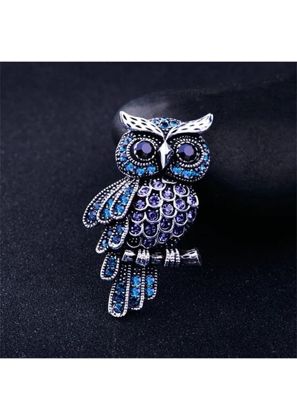 XZ0084-3 1 Adet Vintage Rhinestone Baykuş Broş Kore Trendy Güzel Kristal Kuşlar Broş Rozeti Eşarp Pin Kadın Erkek Takı Hediye Aksesuarları (Yurt Dışından)