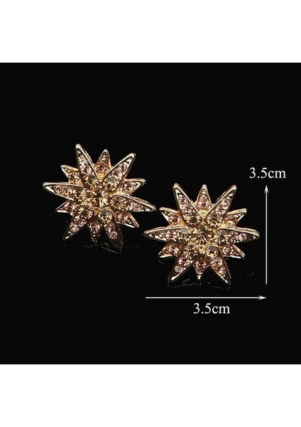 12 1 Çift Vintage Moda Lüks Taç Broş Kafatası Yıldız Örümcek Gömlek Yaka Pin Erkekler Kadınlar Için Şık Köşe Amblem Takı Aksesuar (Yurt Dışından)