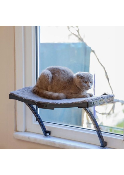 Cama Yapışan Kedi Yatağı