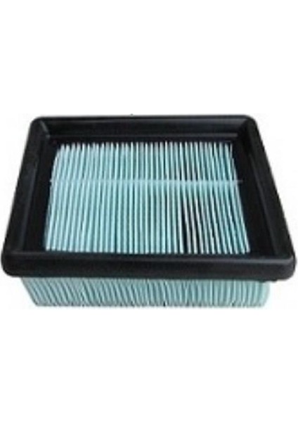 Pulsar AS150-NS150-NS200 Hava Filtresi Eski Model Orjinal