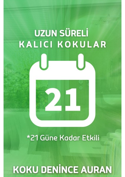 Okyanus Çubuklu Oda Kokusu Bambu Kokusu Ocean Reed Diffuser 50ml