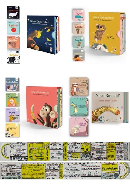Bebek Üniversitesi - Nasıl Başladı? Serisi 15 Kitap - Matematik Öğreten Cetvel