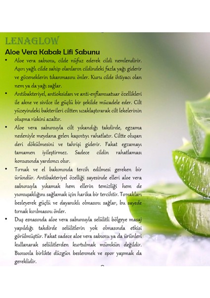 Aloe Vera Lifli Sabun - Hyalüronik Asit Kabak Lifi Sabun - Pirinç Özlü Kabak Lifi Sabunu fiyatları