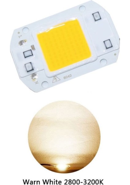 220V 50W Power LED Gün Işığı Warm White Projektör Cob LED Driver fırsatları