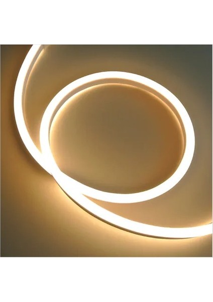 6 Metre Neon GÜNIŞĞI 220 V Esnek Hortum Şerit LED Işık Aydınlatma + Güç Fişi