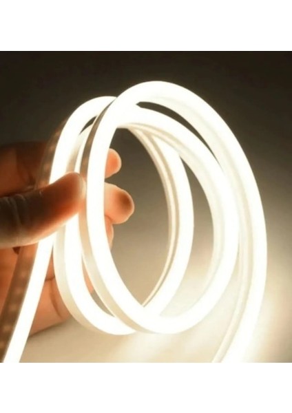 6 Metre Neon GÜNIŞĞI 220 V Esnek Hortum Şerit LED Işık Aydınlatma + Güç Fişi