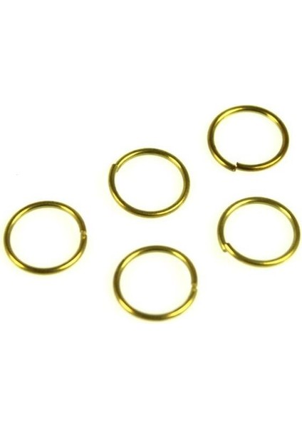 80068 Halka-30 Adet-Prinç - Ø 9x1 Mm.