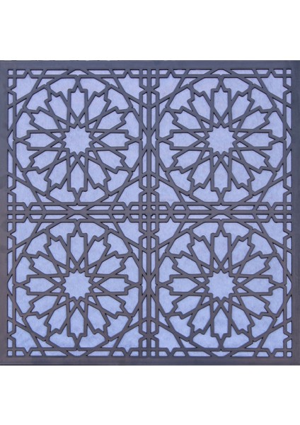 Selçuk 60*60 Tavan Panelleri