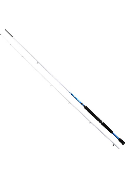 Bambam Salt 1dfr 274CM 40-80GR Shore Jigging Olta Kamışı