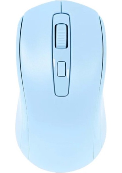 RX-M202 Mouse  - Raynox - Mavi