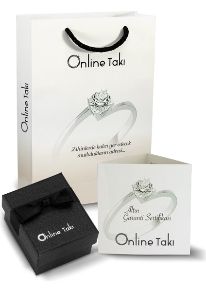 Online Takı Altın Taşlı Mini Yıldız Küpe