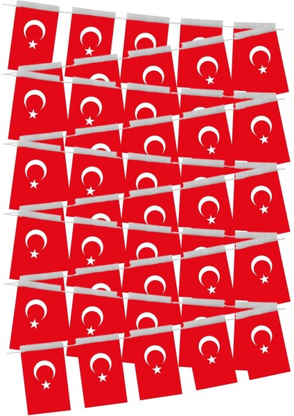 Türk Bayrağı İpli 50li Orta Boy (5li Set)