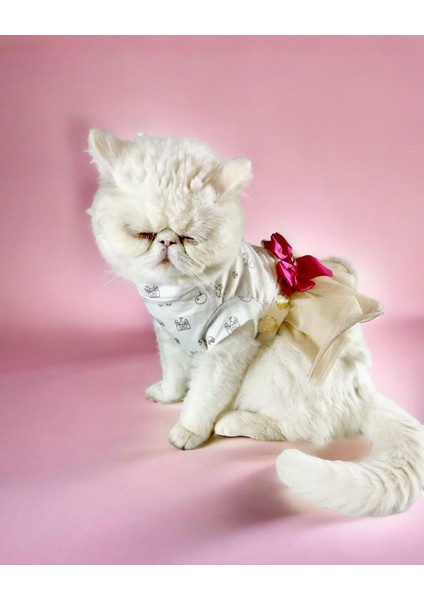 Creamy Fuschia Tütülü Kedi Elbisesi, Kıyafeti Tutu