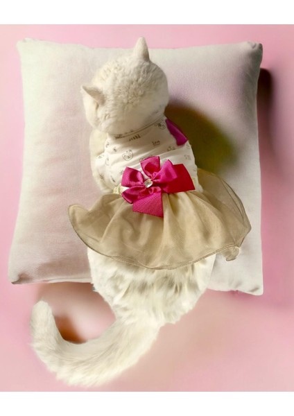 Creamy Fuschia Tütülü Kedi Elbisesi, Kıyafeti Tutu fiyatları