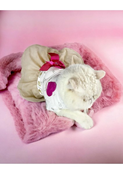 Creamy Fuschia Tütülü Kedi Elbisesi, Kıyafeti Tutu indirimleri