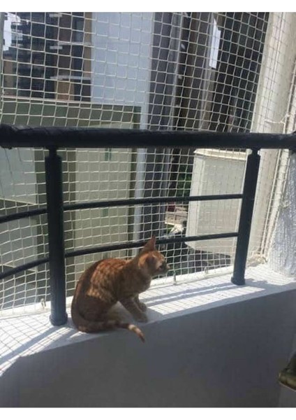 2,50 x 16 mt Balkon Kedi Güvenlik Filesi Kedi Ağı Kalın Balkon Kuş Güvercin Önleme Ağı