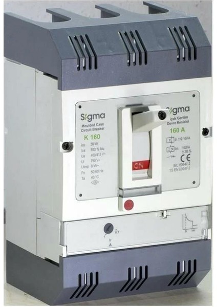 3K160100M 3X100A 36KA Termik Manyetik Şalter