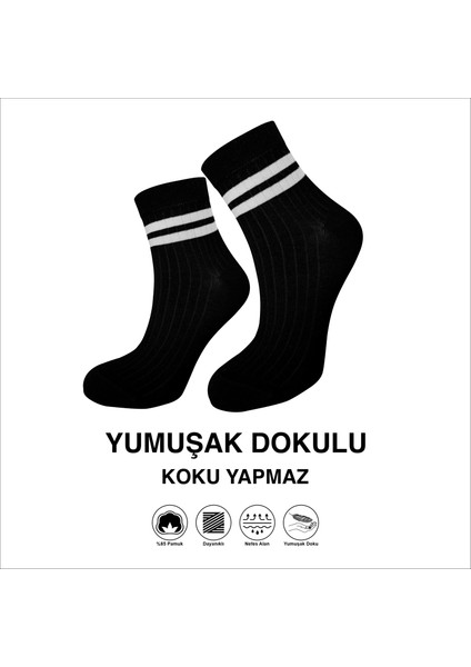 Yüksek Kalite Çizgili Likralı Yumuşak Dokulu Kadın Soket Çorap 3 Çift