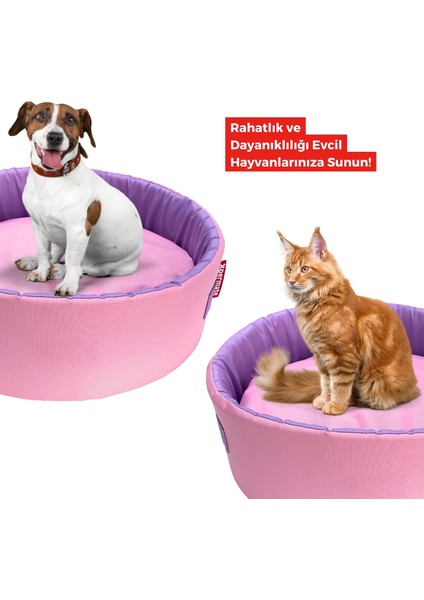 Sünger Simit Küçük Irk Köpek Yatağı Ve Kedi Yatağı 45 cm Pembe Lila