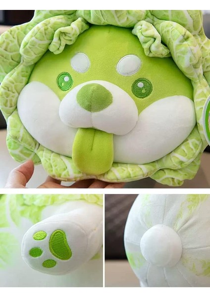 10 Inç Lahana Köpek Peluş Yastık Dolması Hayvan Snuggly Yastık Sevimli Peluş Oyuncak Snuggle Buddy Sebze Köpek Peluş Kawaii Yumuşak Sarılma Yastık Çocuklar Erkekler Kızlar Için1 (Yurt Dışından)