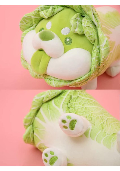 10 Inç Lahana Köpek Peluş Yastık Dolması Hayvan Snuggly Yastık Sevimli Peluş Oyuncak Snuggle Buddy Sebze Köpek Peluş Kawaii Yumuşak Sarılma Yastık Çocuklar Erkekler Kızlar Için1 (Yurt Dışından)