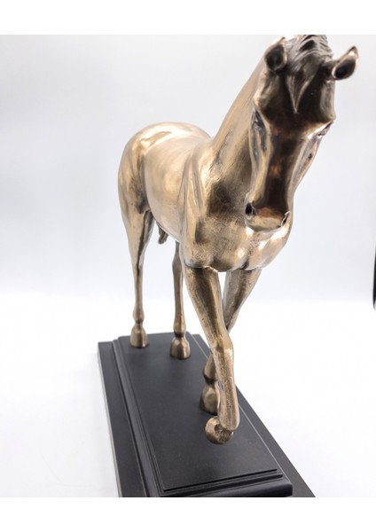 Wıse At Biblo - 31CM - WU76462V4 fiyatları