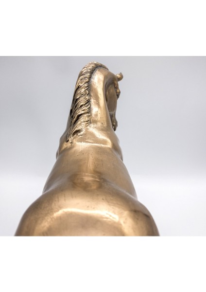 Wıse At Biblo - 31CM - WU76462V4 fırsatları