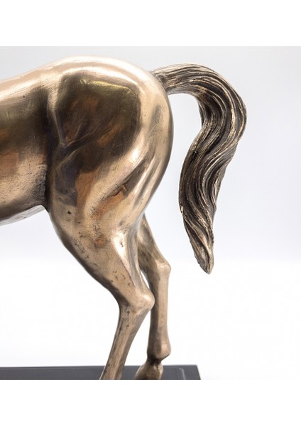 Wıse At Biblo - 31CM - WU76462V4 indirimleri