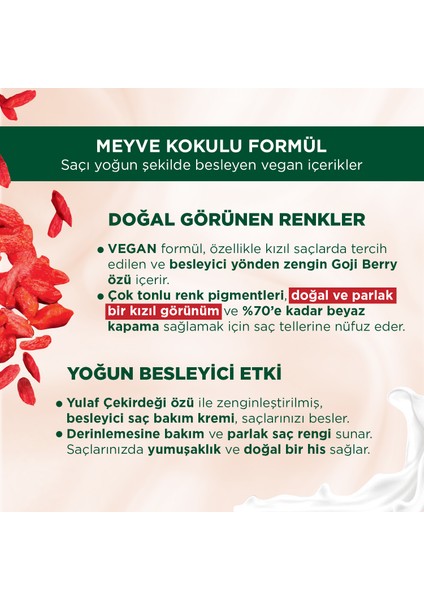 Kalıcı Doğal Renkler 3-68 Kızıl Çikolata Saç Boyası Goji Berry Özü & Yulaf Çekirdeği Özü ile