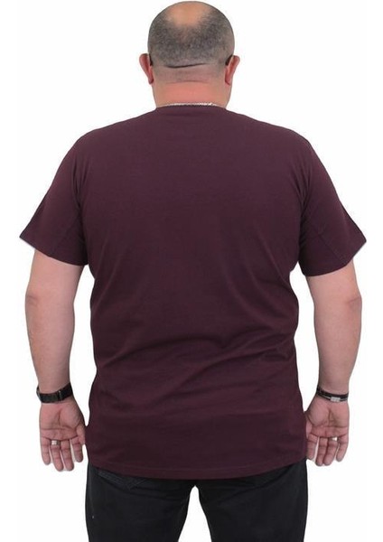 Erkek Büyük Beden Sıfır Yaka Tişört Rich Style 24137 Murdum modelleri