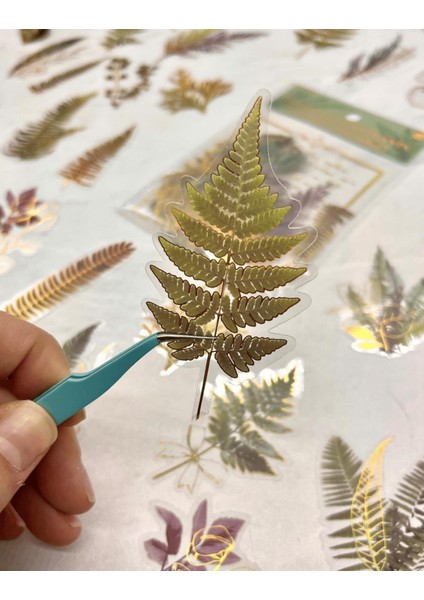 Nature Notes Series The Joy Of Fern Plants 40 Adet Altın Yaldızlı Şeffaf Pet Sticker/Su Geçirmez