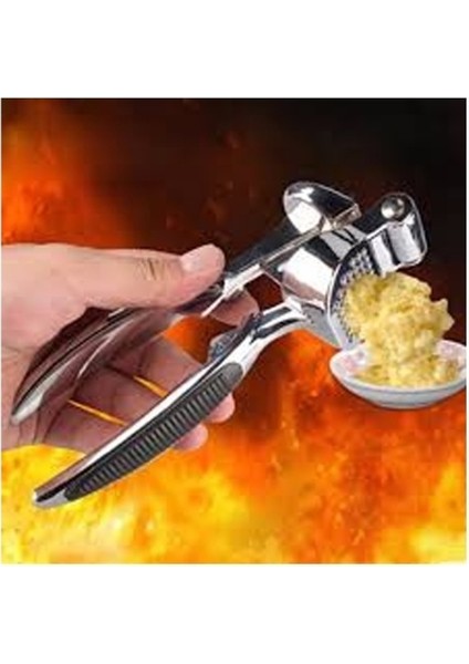Lüks Metal Sarımsak Zencefil Ezici