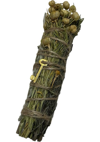 Yeni Ev Tütsüsü fiyatları