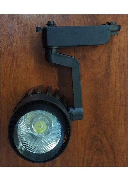 Nisa Luce Siyah Kasa Beyaz Işık Ray Spot 35 W ERS44