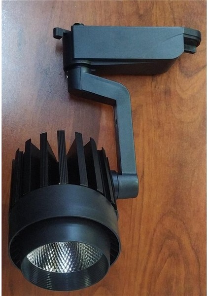 Nisa Luce Siyah Kasa Beyaz Işık Ray Spot 35 W ERS44 fiyatları