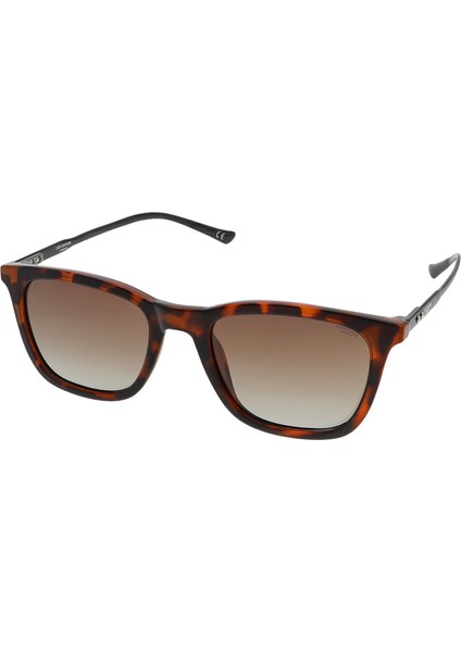 LC1583.C3 52 Polarize Unisex Güneş Gözlüğü