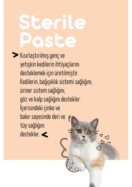 Sterile Paste 100 Gr.(Kısırlaştırılmış Kediler Için Multivitamin ve Minarelli Malt Macun)