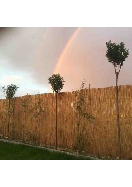 2 Metre x 5 Metre Doğal Hasır Kamış Balkon Çiti Bahçe Çiti Gölgelik Dekorasyon