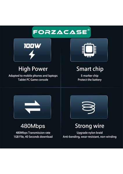 Type-C To 5A 100W Pd Hızlı Şarj ve Data Kablosu